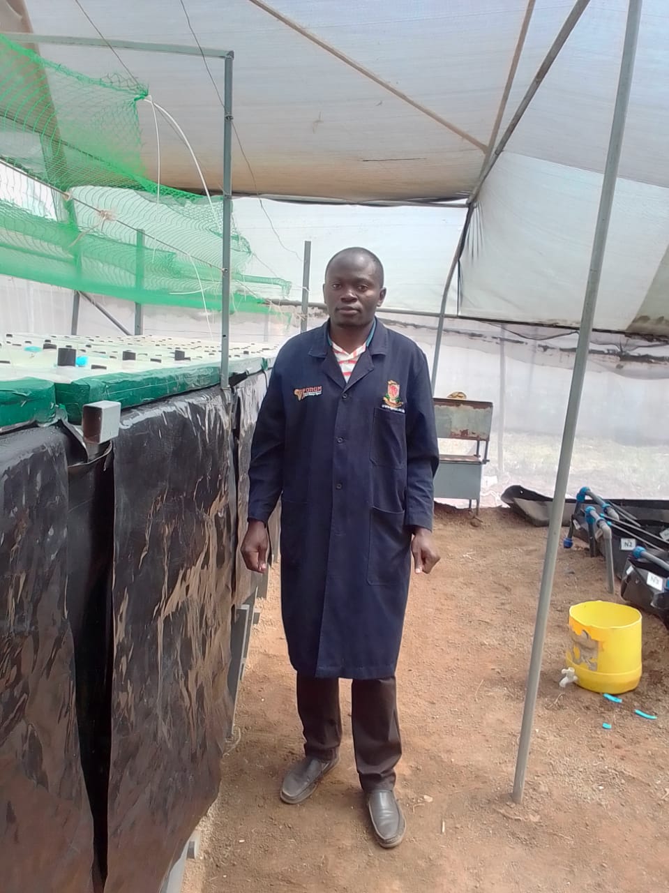 Ligula tristique quis risus