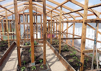 Wooden greenhouse